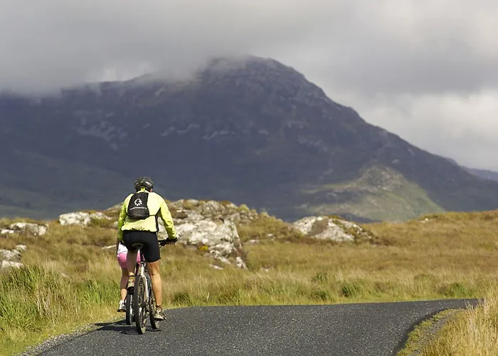 460 - Feriehus Clifden